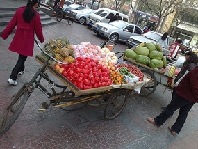 Things That Move Peddle & Pull
