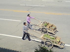 Things That Move Peddle & Pull