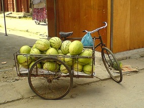 Things That Move Peddle & Pull