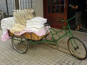 Things That Move Peddle & Pull