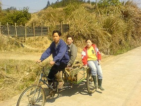 Things That Move Peddle & Pull