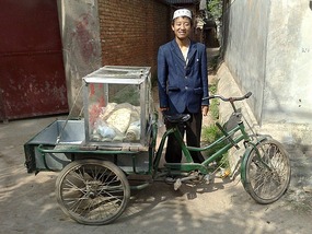 Things That Move Peddle & Pull
