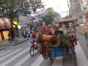 Things That Move Peddle & Pull