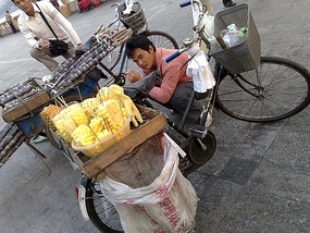 Things That Move Peddle & Pull