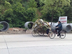 Things That Move Peddle & Pull