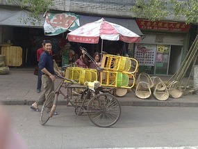 Things That Move Peddle & Pull