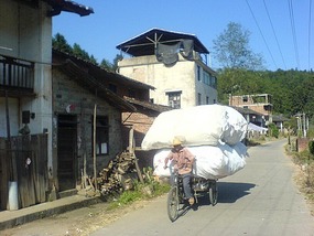 Things That Move Peddle & Pull