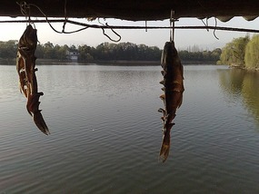 Xingyuan Lake Park