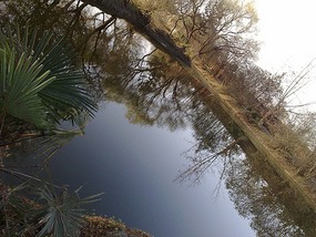 Xingyuan Lake Park