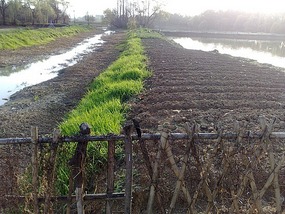 Xingyuan Lake Park