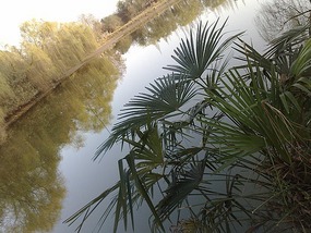 Xingyuan Lake Park