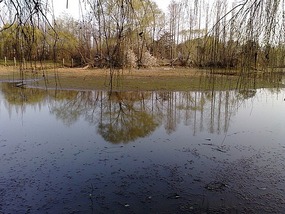 Xingyuan Lake Park
