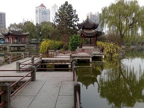 City Lotus Park & Pond