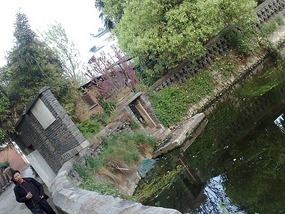 The Horse Drinking Pool