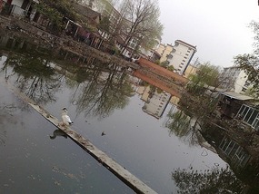 City Lotus Park & Pond