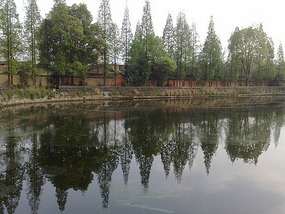 The Horse Drinking Pool