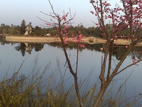 Xingyuan Lake Park