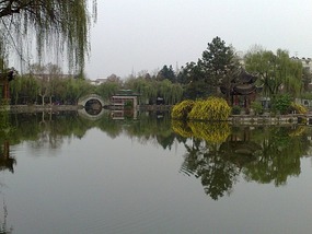 City Lotus Park & Pond