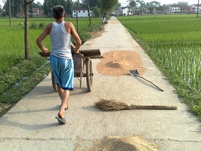 Dragon Boat Festival & Village Ding & Plank Road A