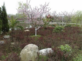 Folk Village & The   Peony & Rare Stone Gardens