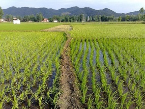 Goodbyes & The Last Month in Hanzhong