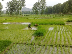 Goodbyes & The Last Month in Hanzhong