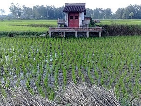 Goodbyes & The Last Month in Hanzhong