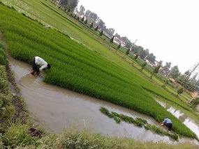 Goodbyes & The Last Month in Hanzhong