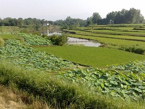 Goodbyes & The Last Month in Hanzhong