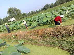 Goodbyes & The Last Month in Hanzhong