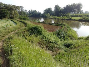 Goodbyes & The Last Month in Hanzhong