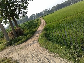 Goodbyes & The Last Month in Hanzhong