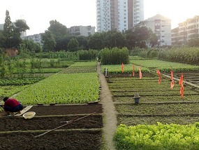 Goodbyes & The Last Month in Hanzhong