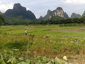 The Li River & Moon Hill Adventures