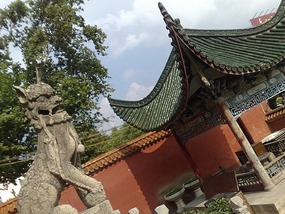 Zhangjiajie City Adventure