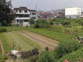 Zhangjiajie City Adventure