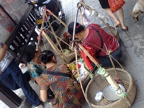 Zhangjiajie City Adventure