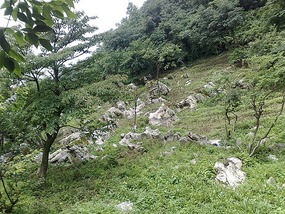 Tianmen Mountain with Connie