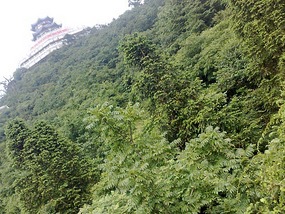 Tianmen Mountain with Connie