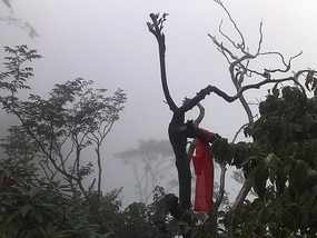 Tianmen Mountain with Connie