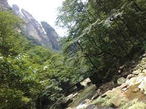 Wulingyuan Nature Park Day One AVATAR