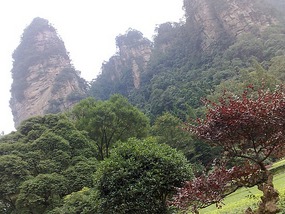 Wulingyuan Nature Park Day One AVATAR
