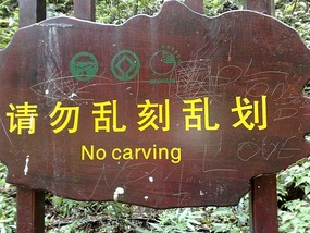 Wulingyuan Nature Park Day One AVATAR