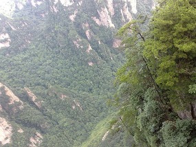 Wulingyuan Nature Park Day One AVATAR