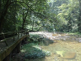 Wulingyuan Nature Park Day One AVATAR