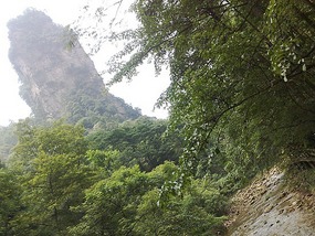Wulingyuan Nature Park Day One AVATAR