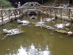 Wulingyuan Nature Park Day One AVATAR