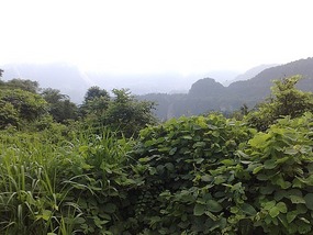 Wulingyuan Nature Park Day One AVATAR