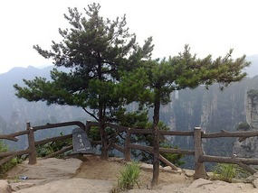 Wulingyuan Nature Park Day One AVATAR