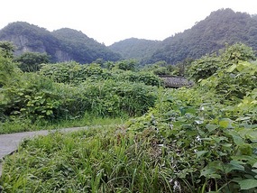 Wulingyuan Nature Park Day One AVATAR